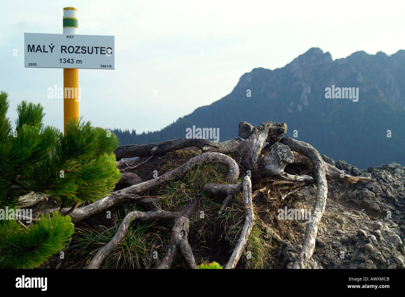 Sommet mondial de Maly Rozsutec, montagne plage Mala Fatra, automne, Slovaquie Banque D'Images