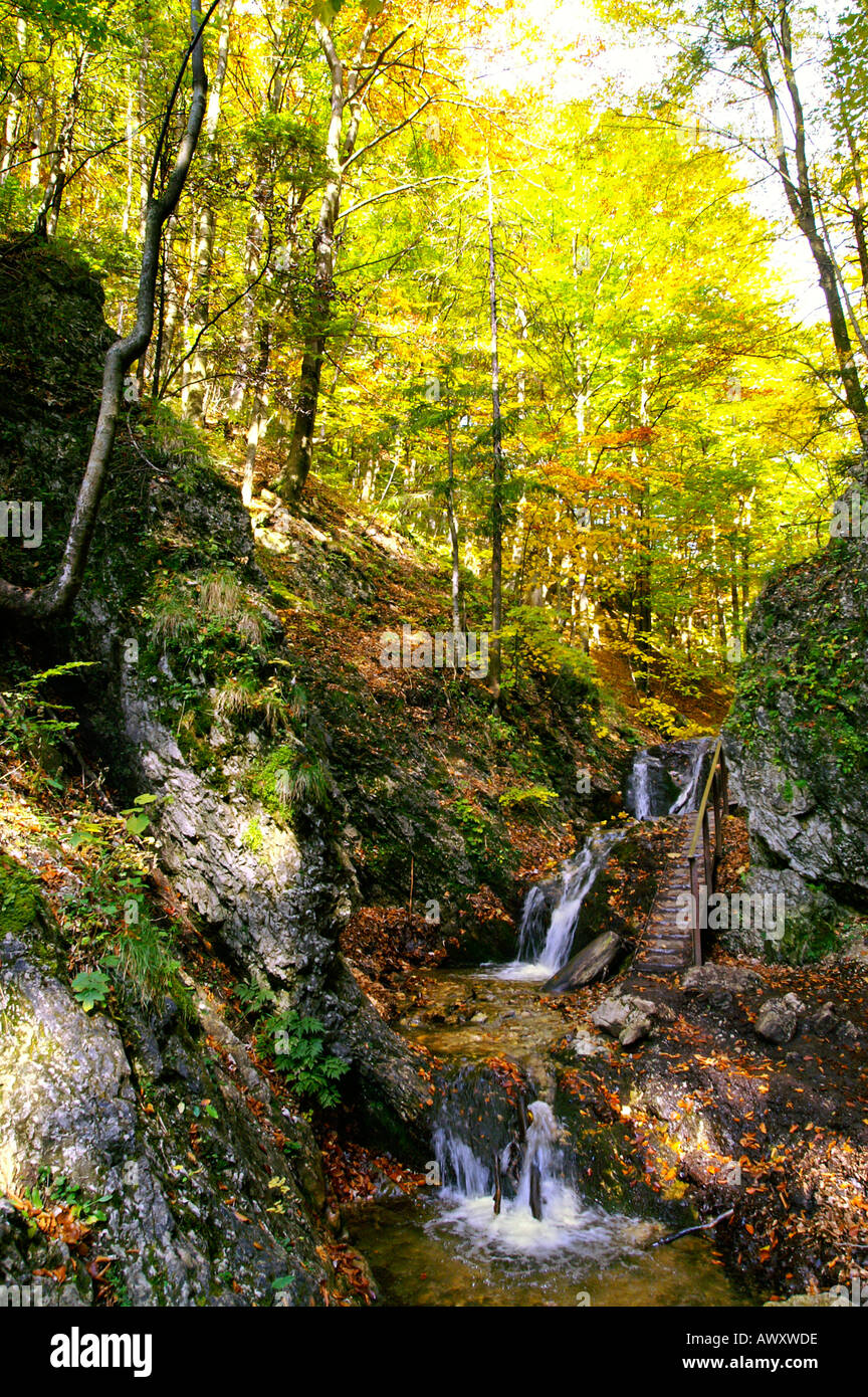 Cascades de teintes automnales Horne Diery, Gorge de montagnes Mala Fatra, Slovaquie Banque D'Images