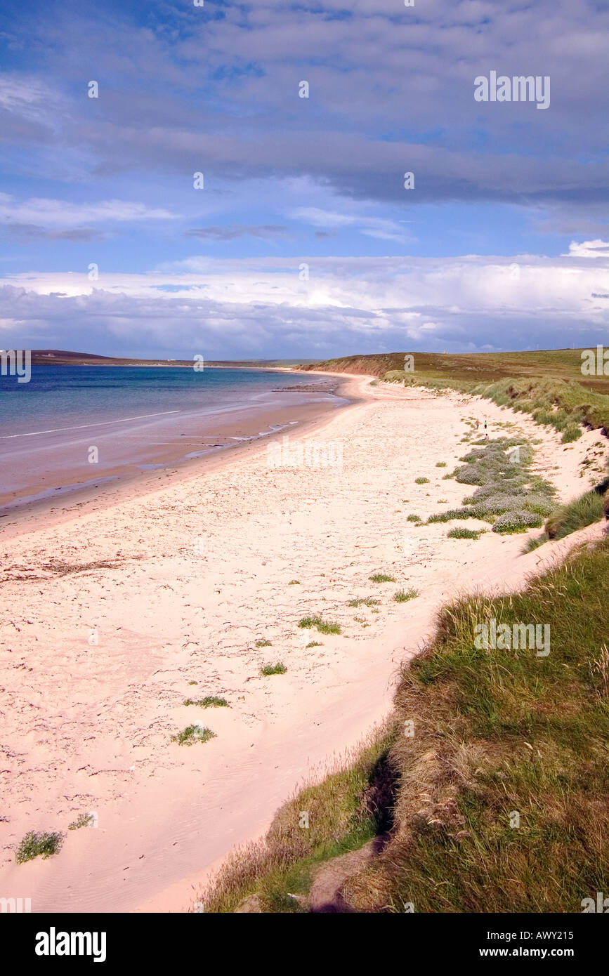 Dh les sables du Mussetter EDAY ORKNEY plage de sable blanc de la Baie d'Fersness Banque D'Images