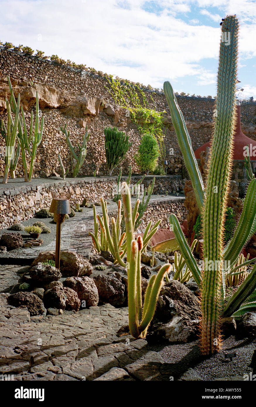 Une vue générale d'une section du Cactus Garden Museum sur l'île de Lanzarote conçu par Cesar Manrique Banque D'Images