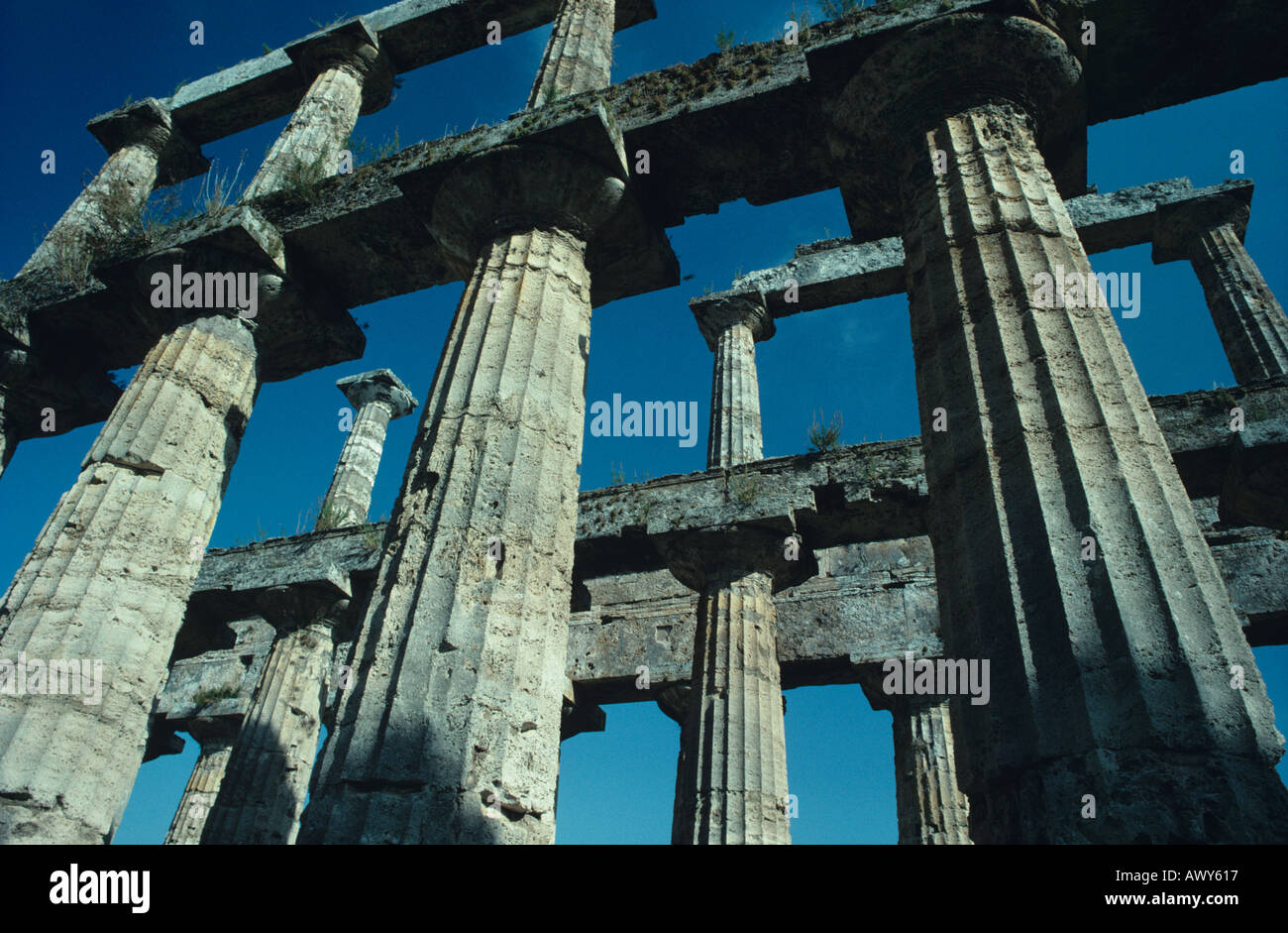 Temple grec Paestum Campanie Italie Banque D'Images