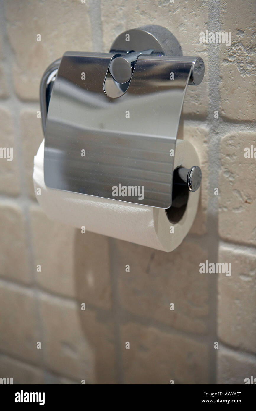 Toilettes chromé porte-rouleau. Banque D'Images