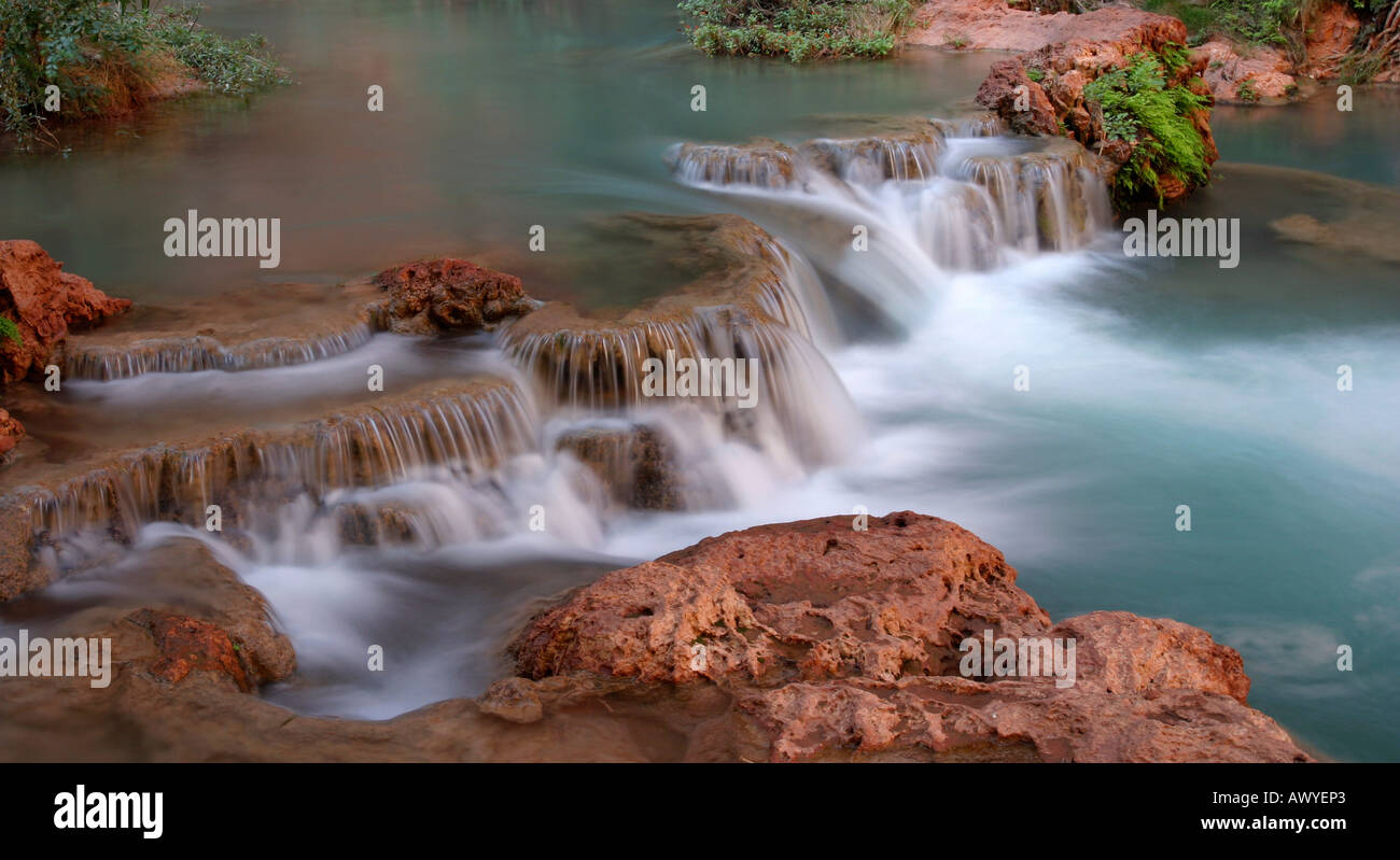 Stream In Havasu Canyon, Arizona, USA Banque D'Images