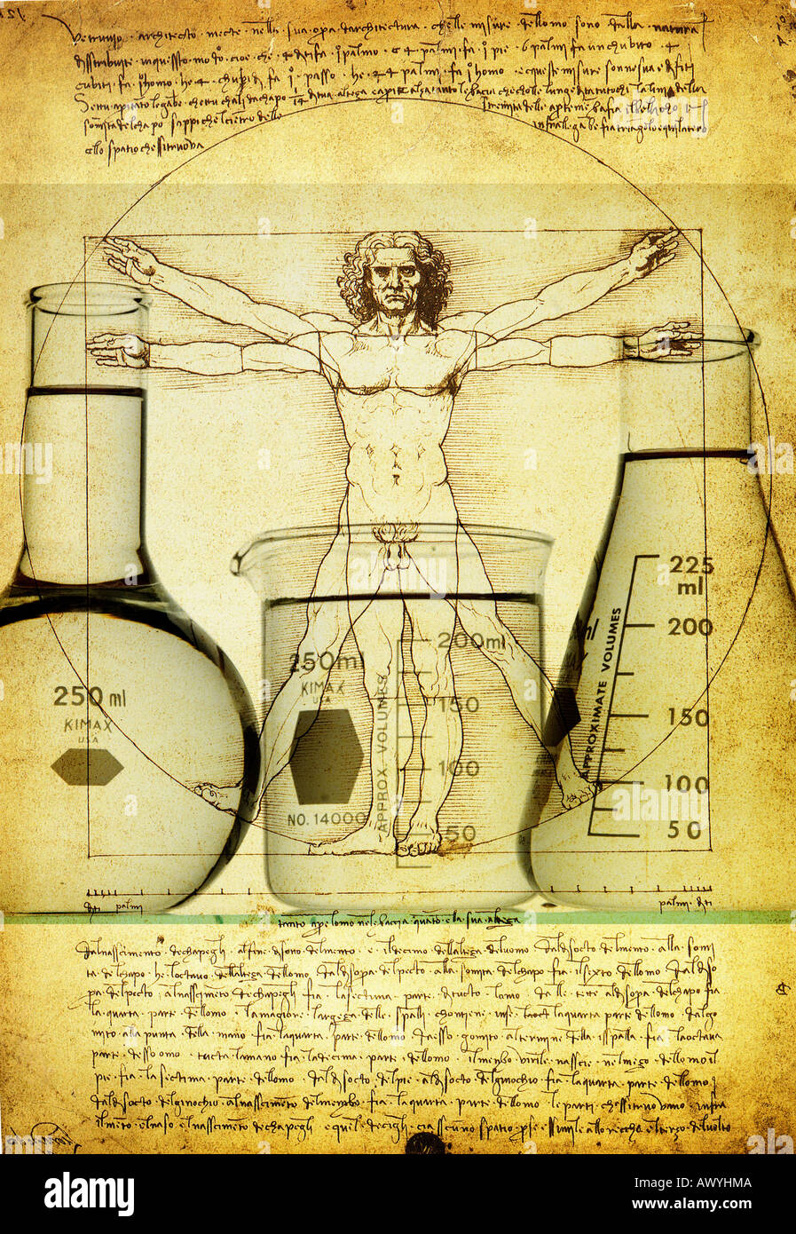Flacons de produits chimiques sur une affiche de l'homme de Vitruve croquis de Léonard de Vinci Banque D'Images
