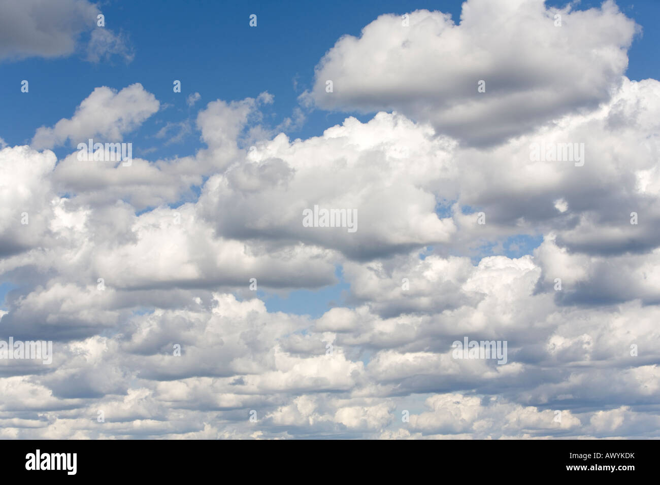 Couverture dense de nuages blancs sur ciel bleu , Finlande Banque D'Images