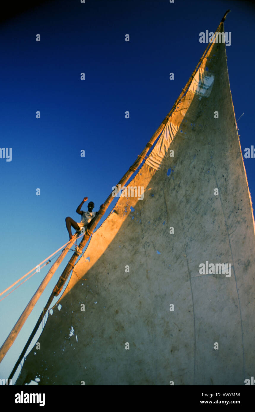 Sailor waving from observation post sur le mât de la voile arabe dhow quelque part au large de la côte de Zanzibar Tanzanie Aucun MR aucun PR Banque D'Images Sailor waving from observation post sur le mât de la voile arabe dhow quelque part au large de la côte de Zanzibar Tanzanie Aucun MR aucun PR Banque D'Images