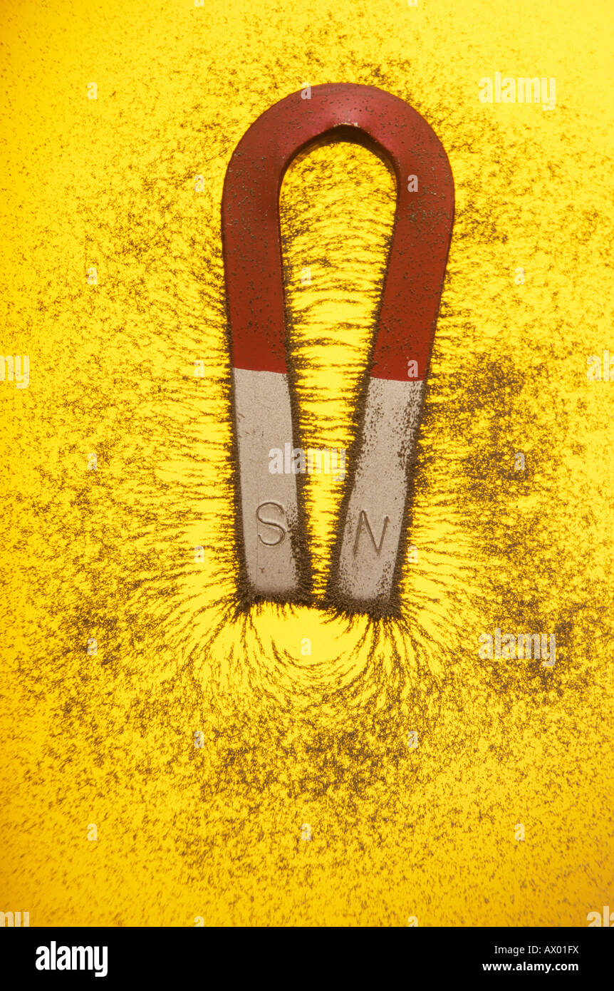 L'aimant en fer à cheval avec de la limaille de fer montrant champ magnétique sur fond jaune Banque D'Images