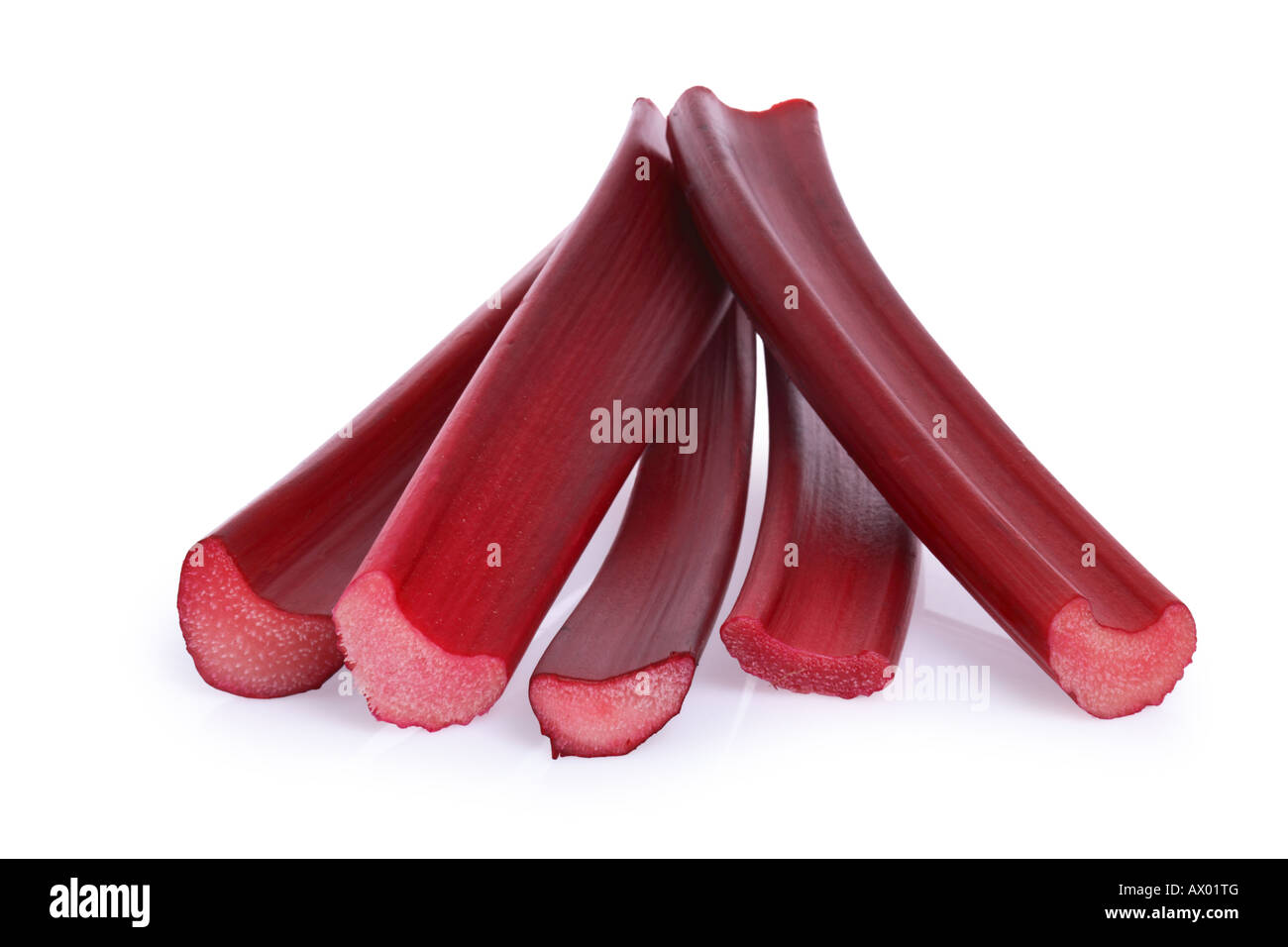 La rhubarbe sur fond blanc découper sur fond blanc Banque D'Images