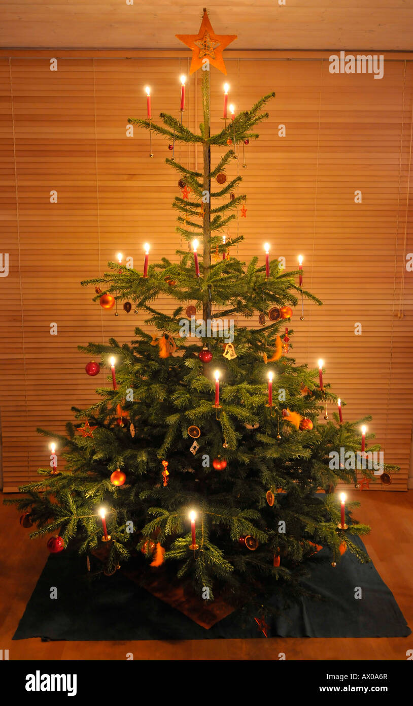 Allumé des bougies sur un arbre de Noël Banque D'Images