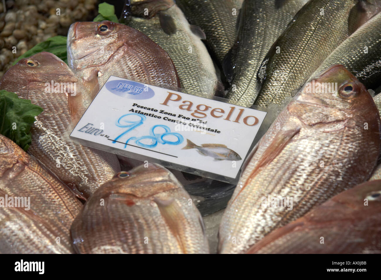 Pagello au marché du Rialto Pescheria fish market Venise Italie Banque D'Images