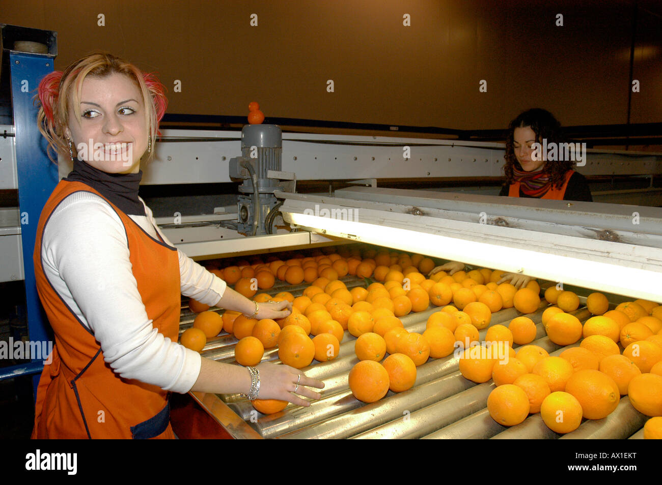 L'emballeuse Orange contrôle de qualité à Guillem Exportations" emballage orange factory à Valence, Espagne, Europe Banque D'Images