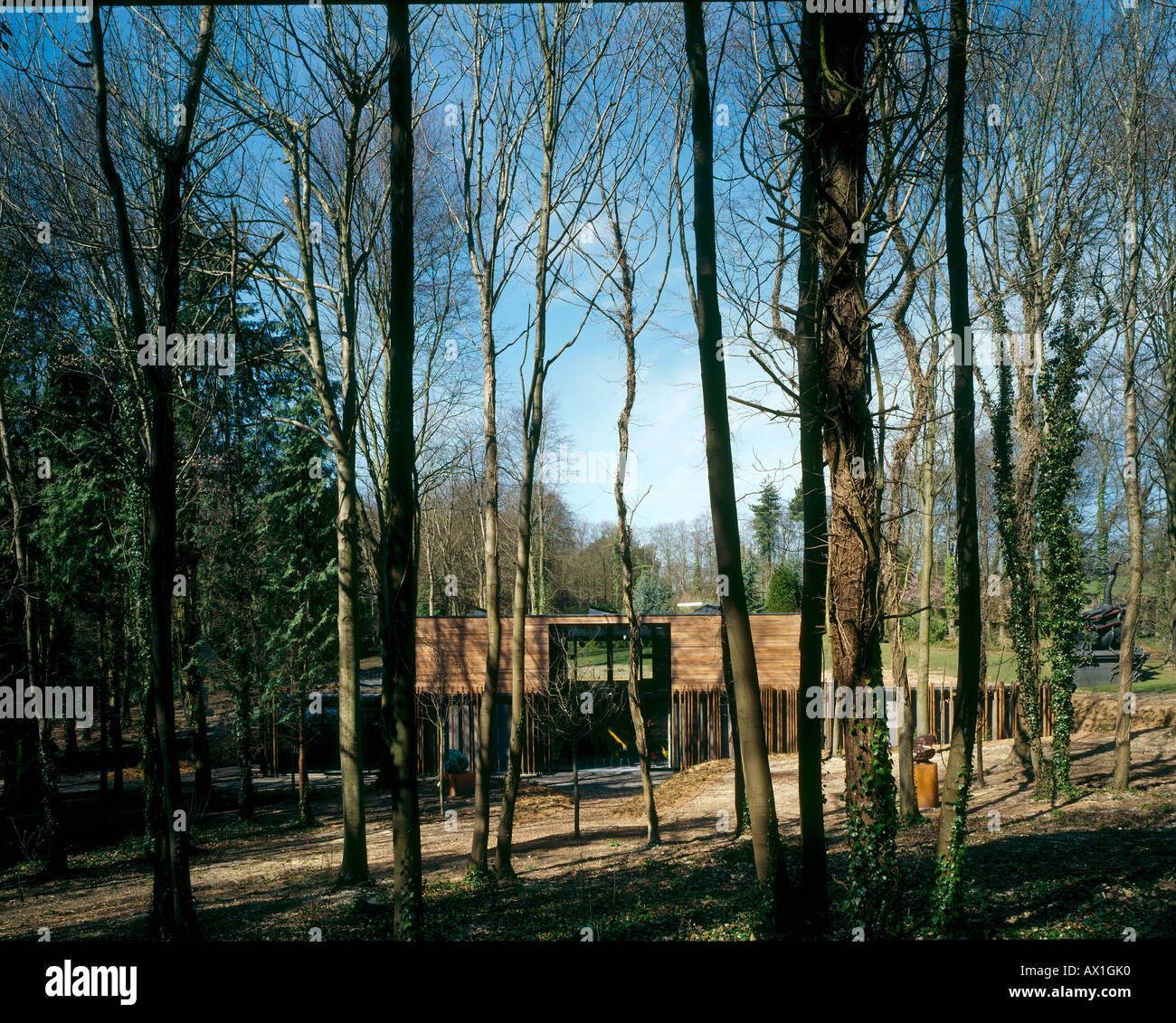 Bâtiment À CASS SCULPTURE FOUNDATION, Goodwood, UK Banque D'Images