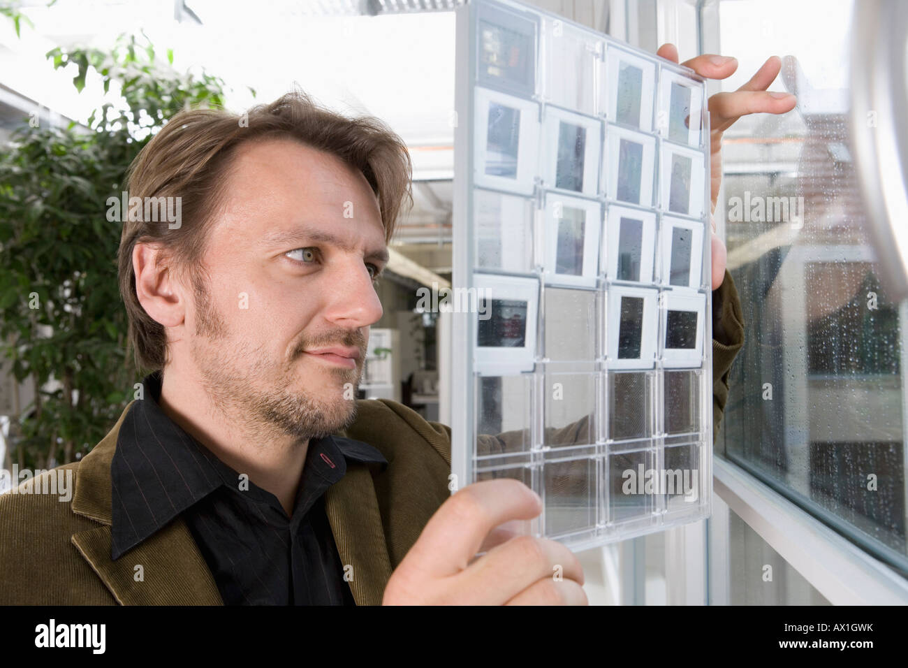 Un homme à la recherche à une planche contact de diapositives Banque D'Images