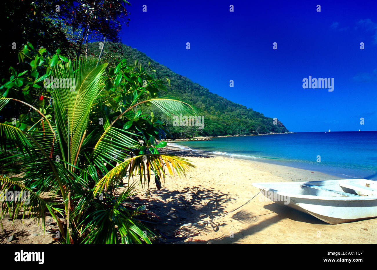 Rodney Bay St Lucia plage de Reduit Boat & Palmiers Banque D'Images