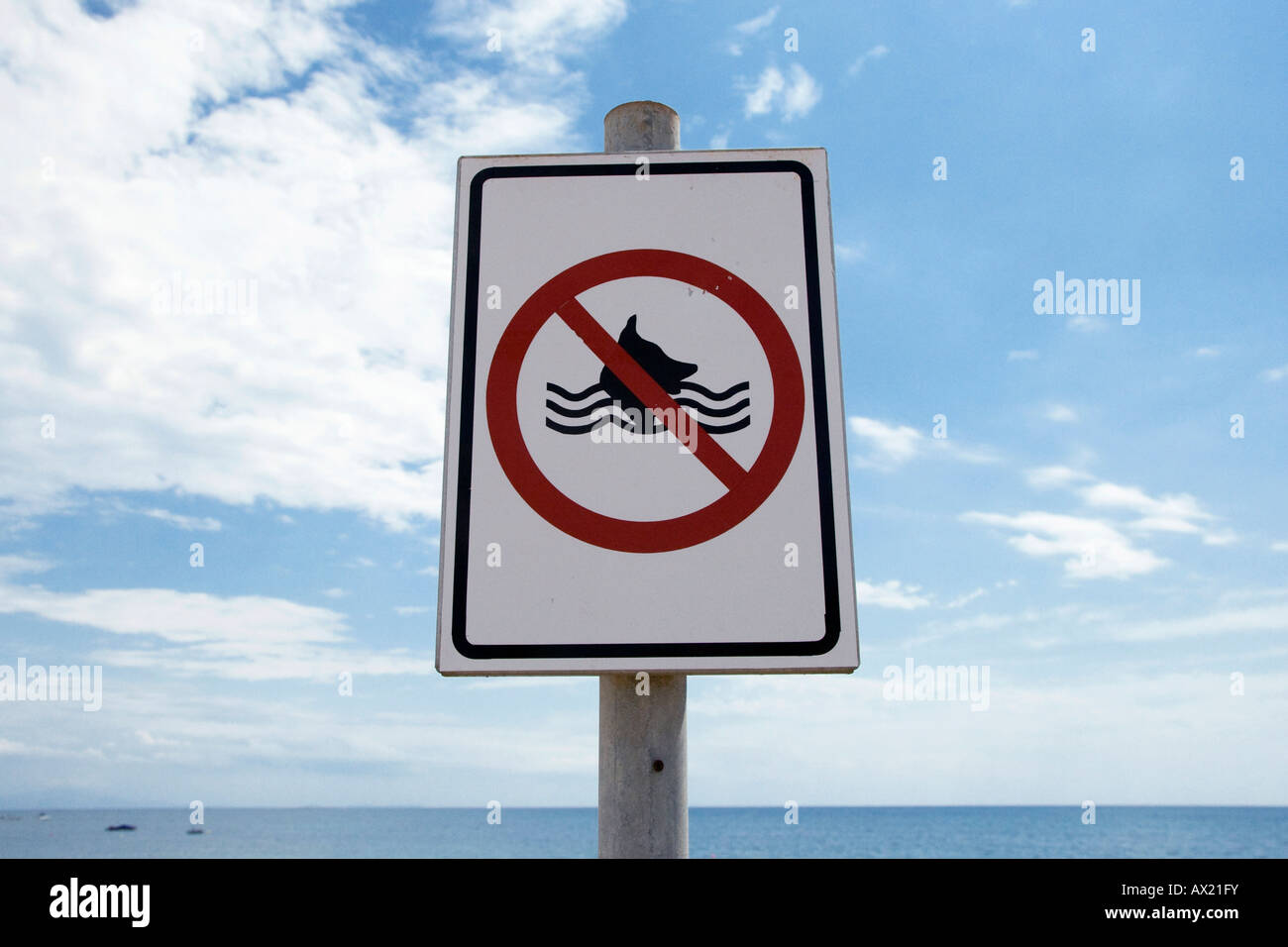 La baignade interdite pour chiens, signe à plage Croate Banque D'Images