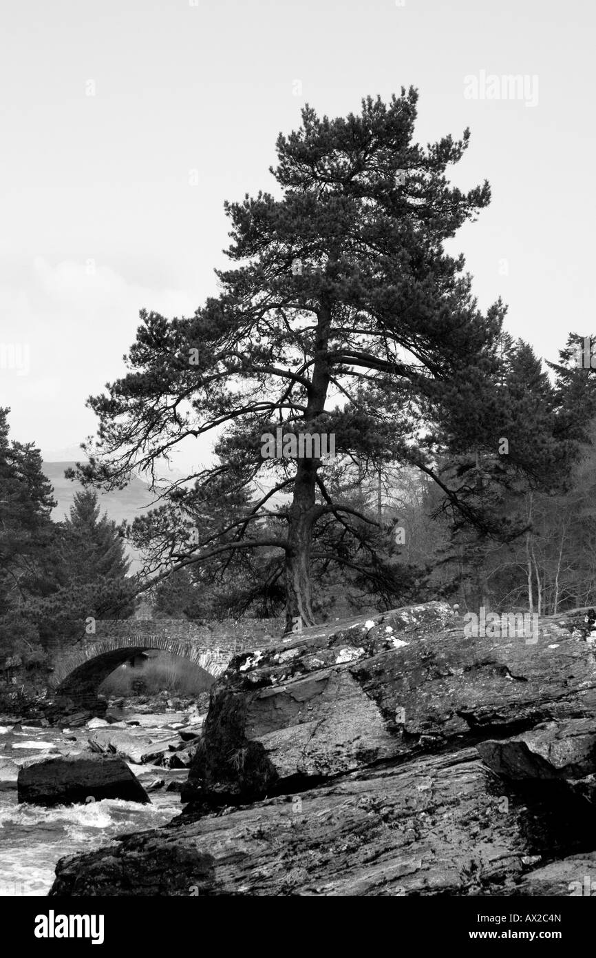 Chutes de Dochart à Killin, dans le district de Breadalbane, près de Parc national du Loch Lomond et des Trossachs, Ecosse Banque D'Images