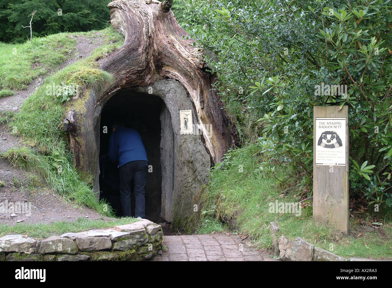 Osprey Whinlatter Forest visitor center Cumbria Lake District Hobbit house Banque D'Images