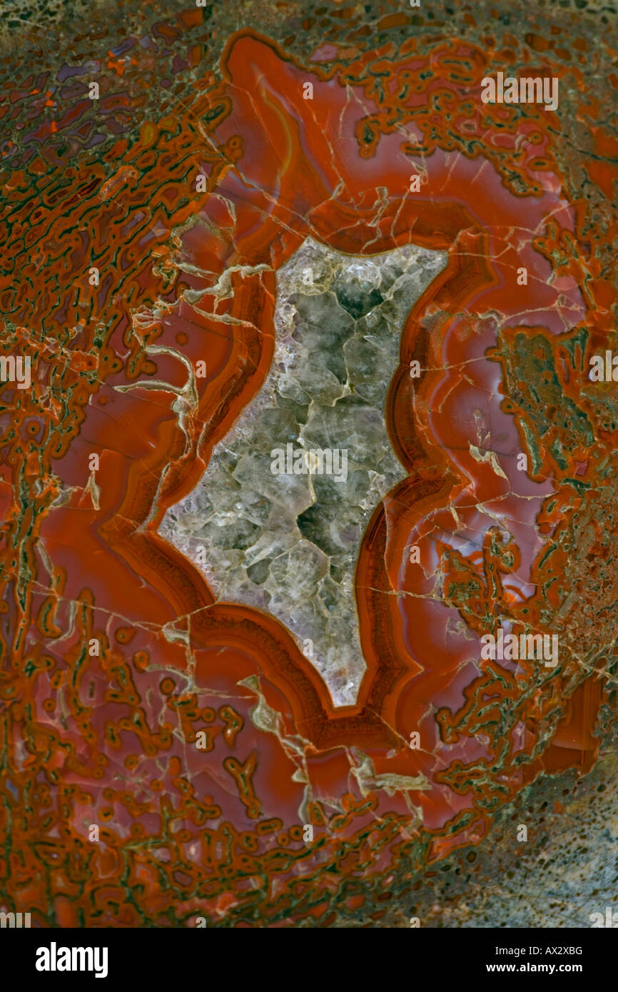 Agatized os de dinosaure Allosaur cross section montre la moelle épinière de fémur Amethyst Crystal Jurassique centres Utah Banque D'Images