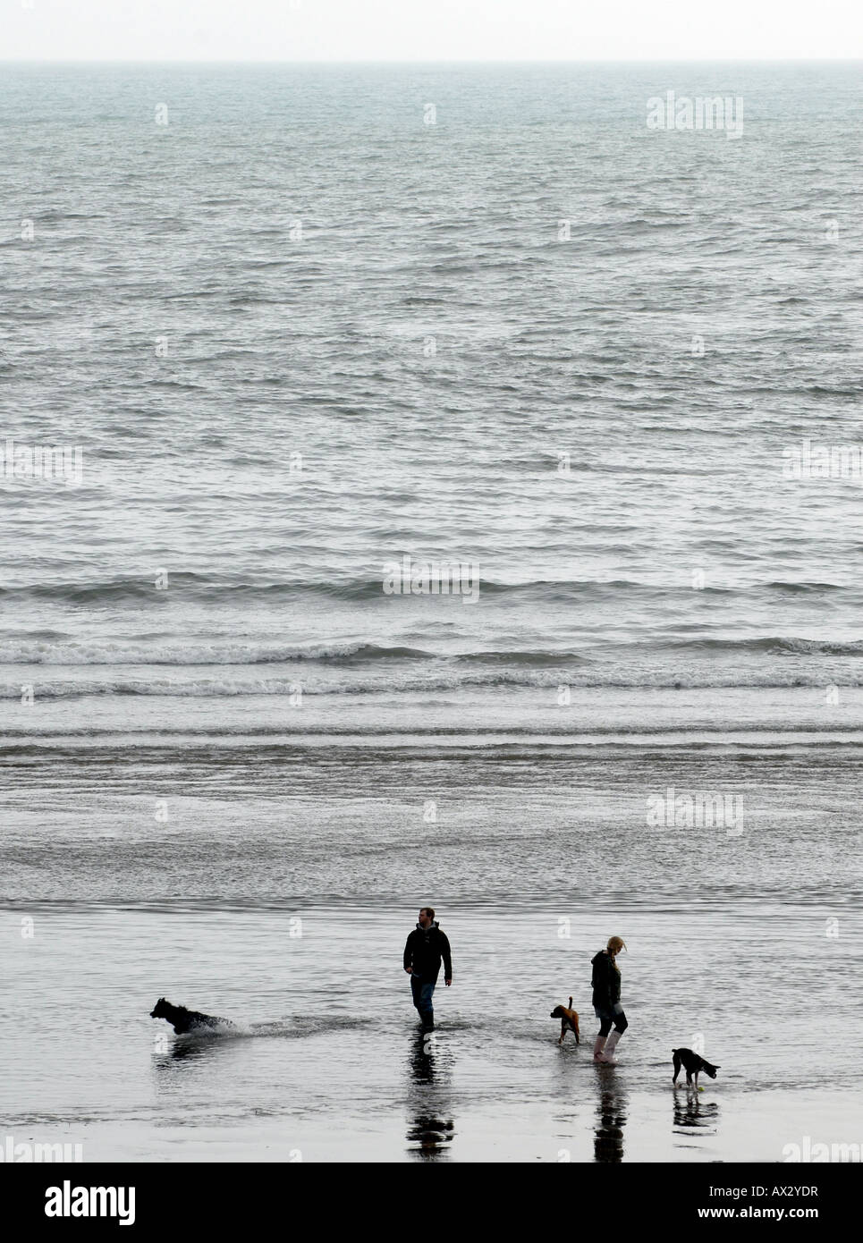 Les promeneurs de chiens À PIED DANS LA MER À BIGBURY ON SEA,Devon, Angleterre.UK Banque D'Images