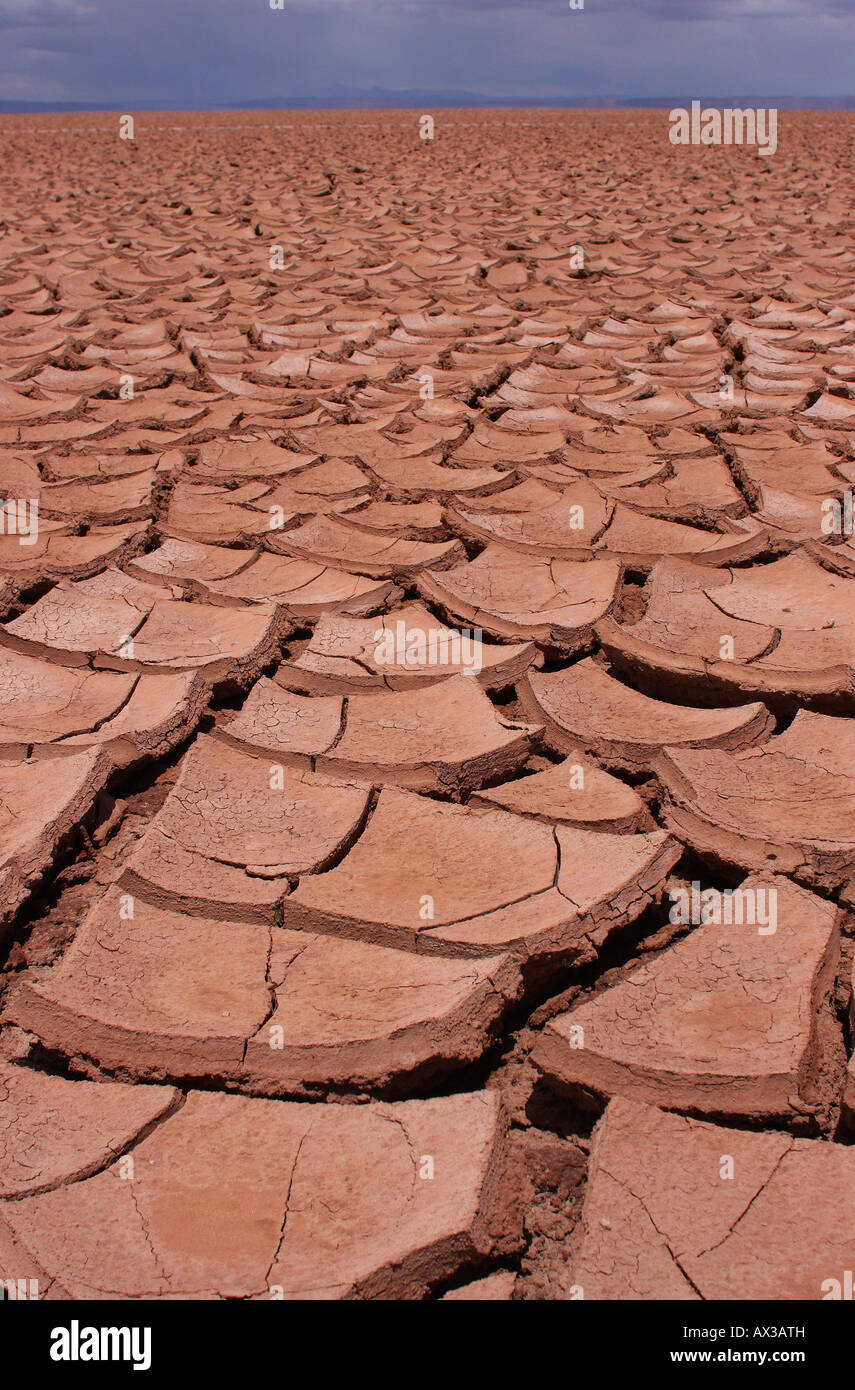 Une étendue énorme de craquage, sec, de boue et de sol sur l'Altiplano bolivien. Banque D'Images