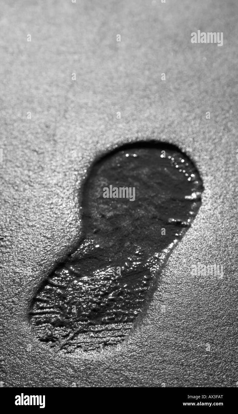 Image en noir et blanc d'une empreinte sur le sable humide Banque D'Images