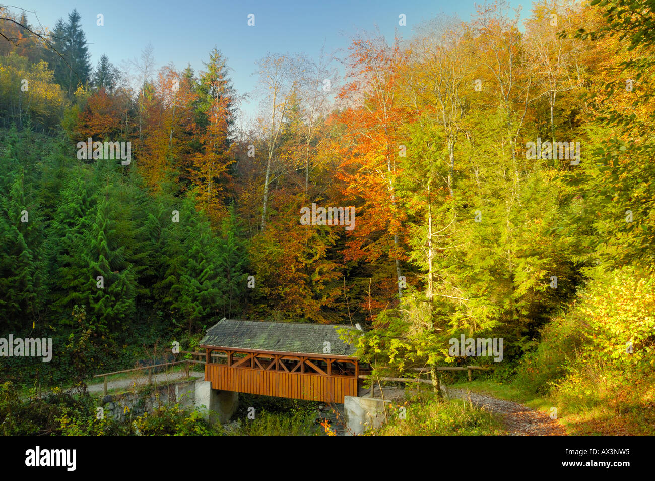 Arboretum de l'Aubonne au pont couvert, en Suisse, à l'automne Banque D'Images