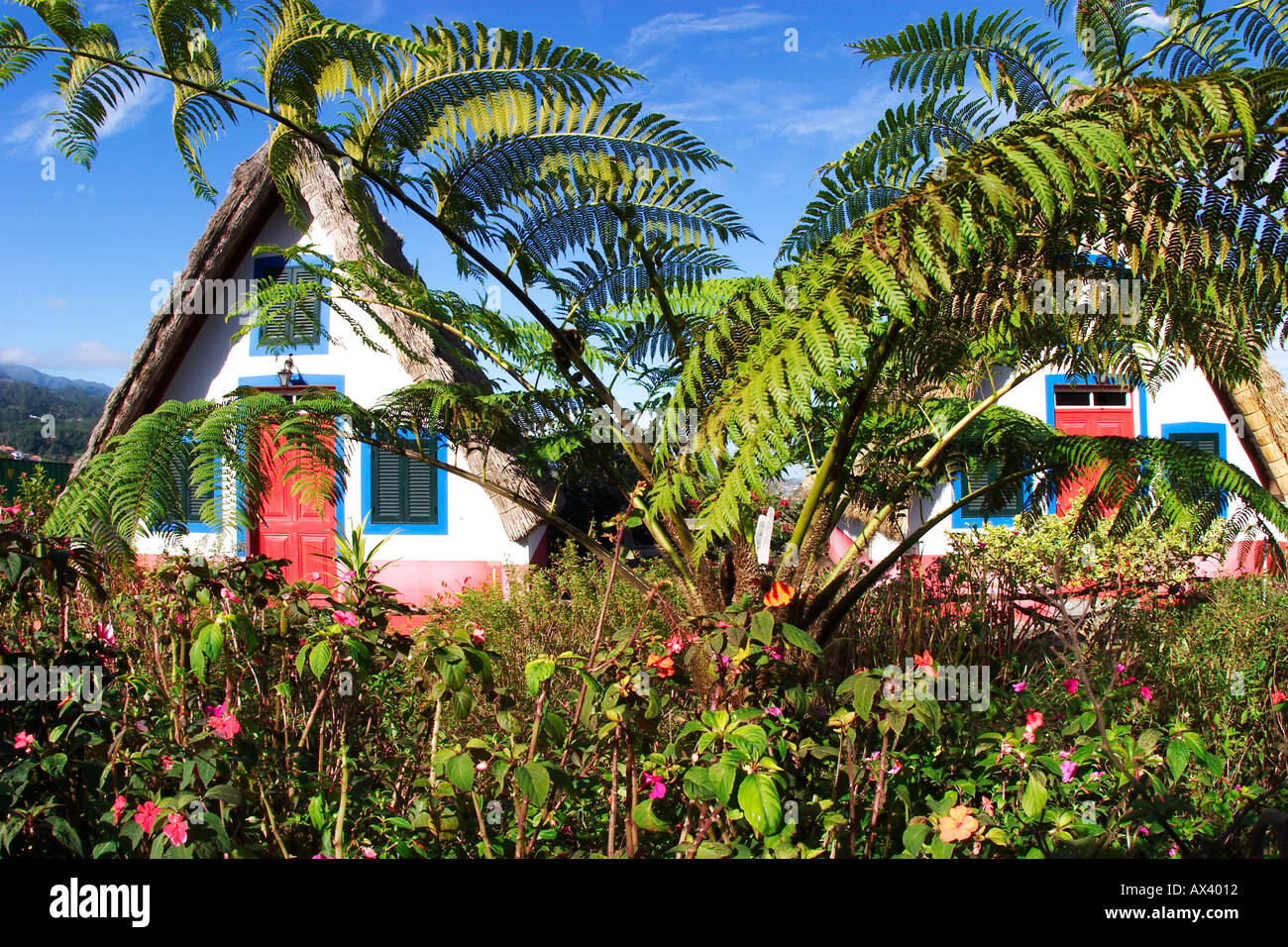 Casas de Colmo Santana en style traditionnel de Madère Madère maisons de chaume Banque D'Images