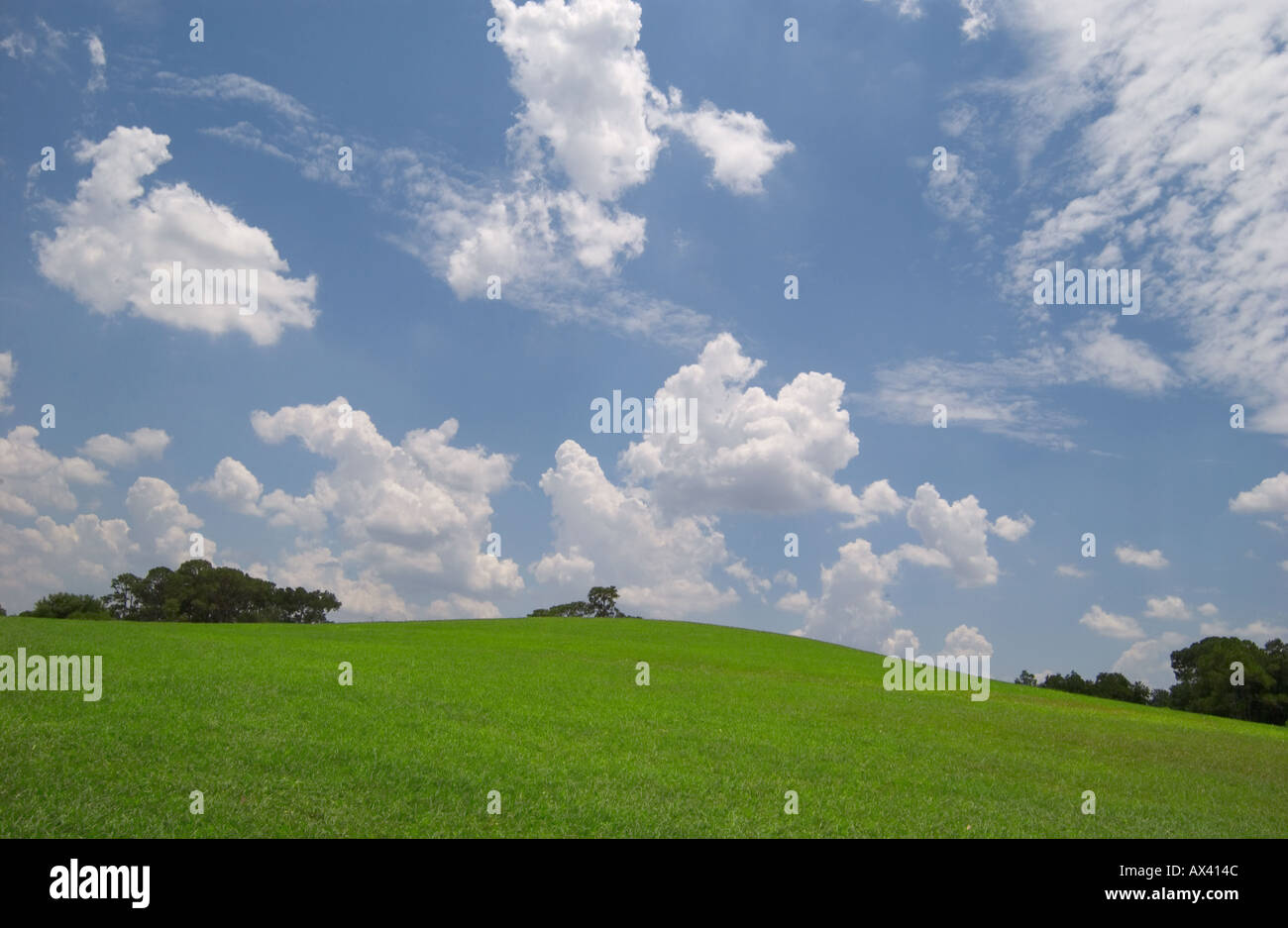 Ciel bleu et de nuages et l'herbe verte Banque D'Images