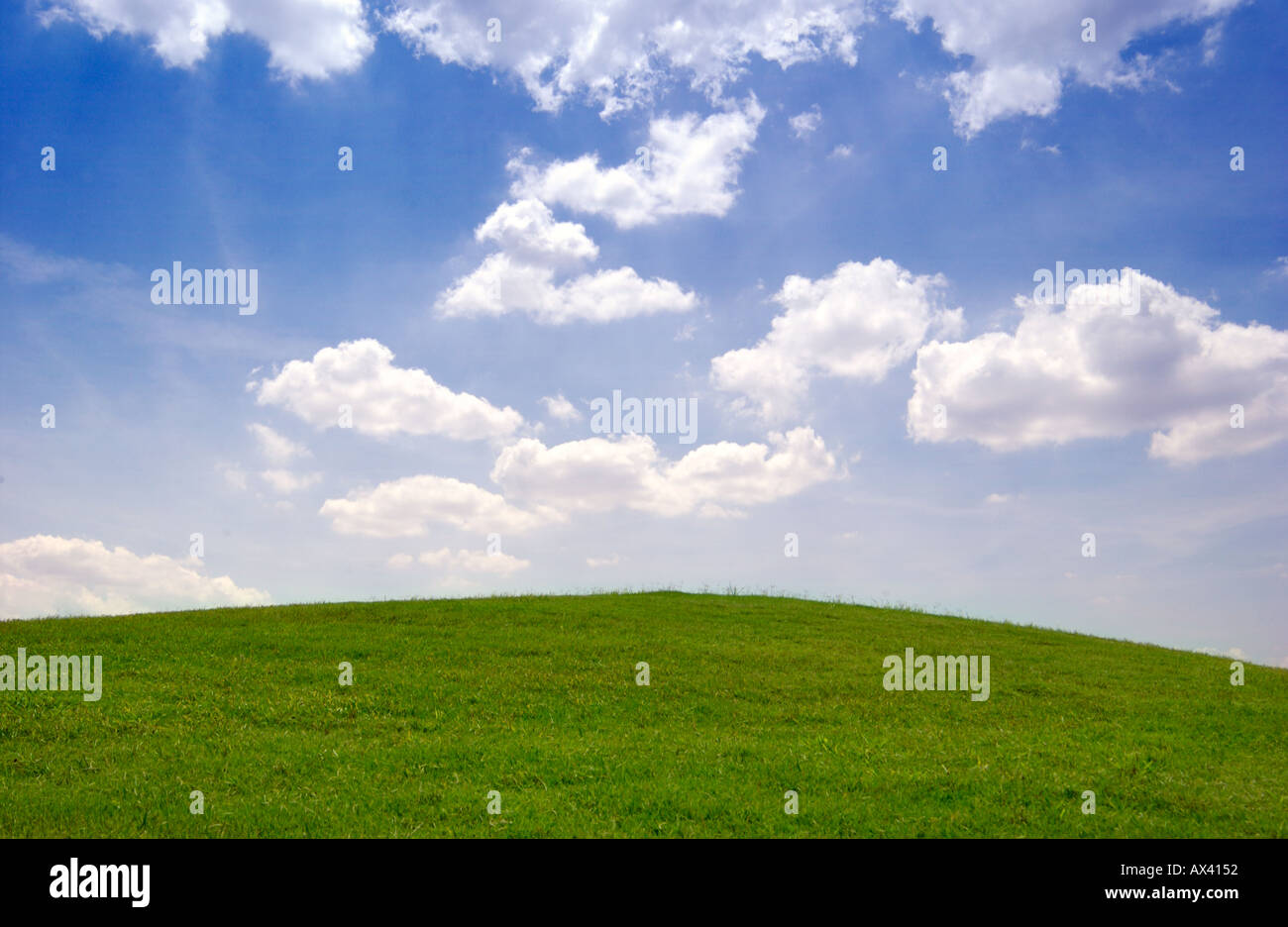Ciel bleu et de nuages et l'herbe verte Banque D'Images