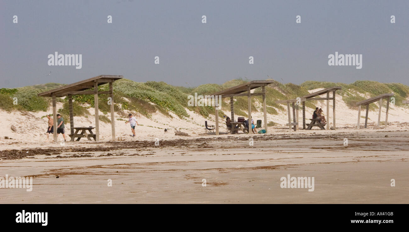 Padre Island National Seashore Park, Padre Island Corpus Christi Texas TX USA Banque D'Images