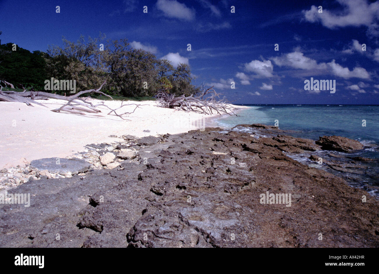 L'île sub-tropical Beach Shoreline Banque D'Images