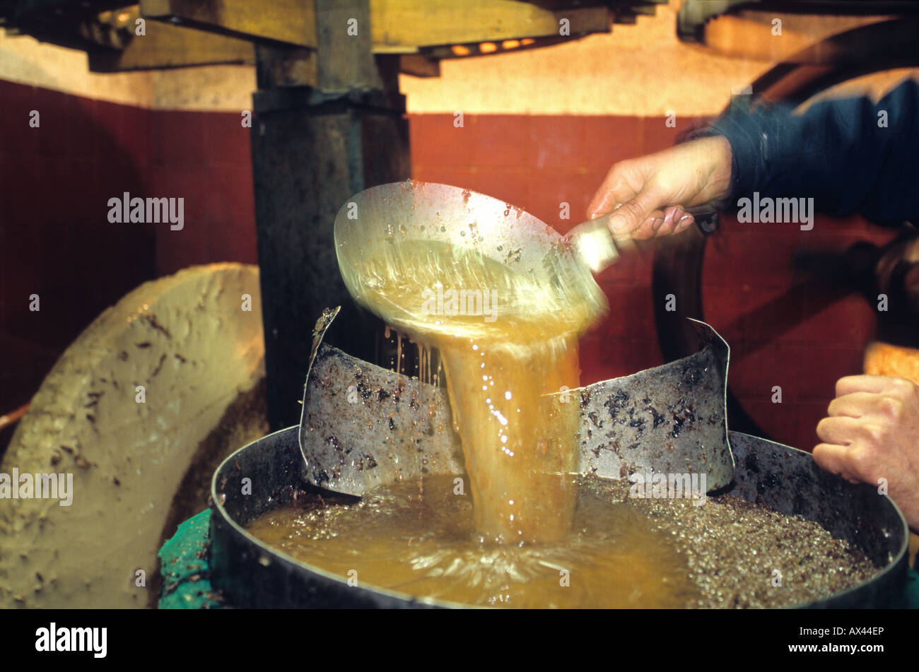 La production d'huile d'olive artisanale traditionnelle à l'intérieur d'un moulin d'huile d'olive Banque D'Images