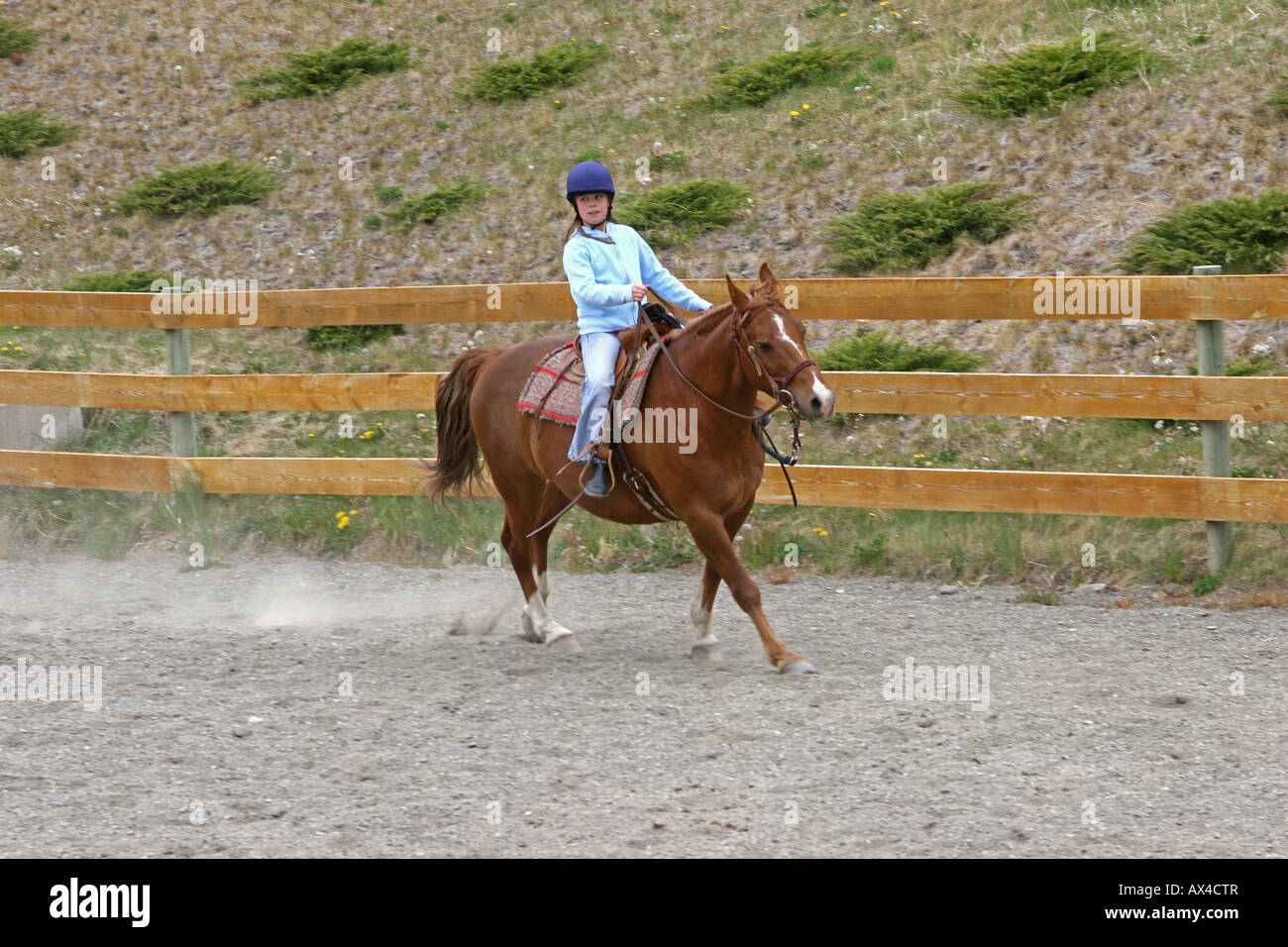 Young Girl riding a horse chestnut style western Banque D'Images