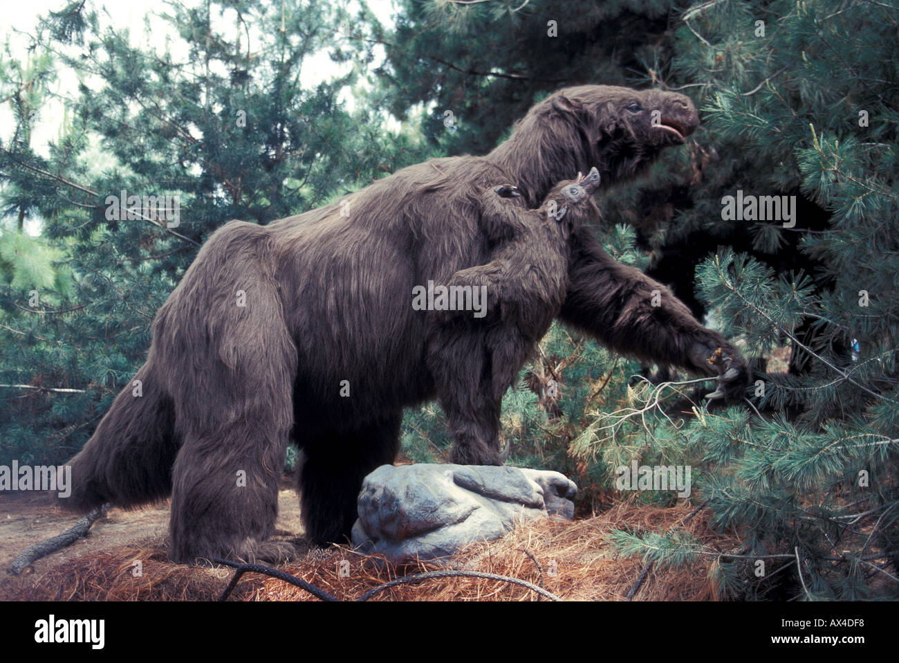 SCIENCE DISPARUE Banque D'Images