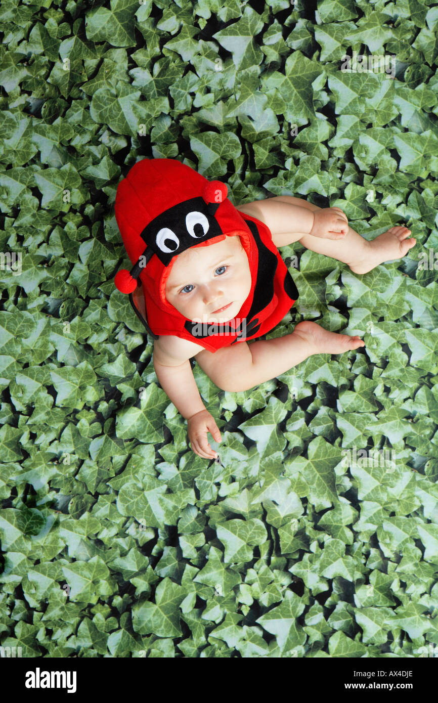 Habille En Bebe Coccinelle Photo Stock Alamy Habille En Bebe Coccinelle Photo Stock Alamy