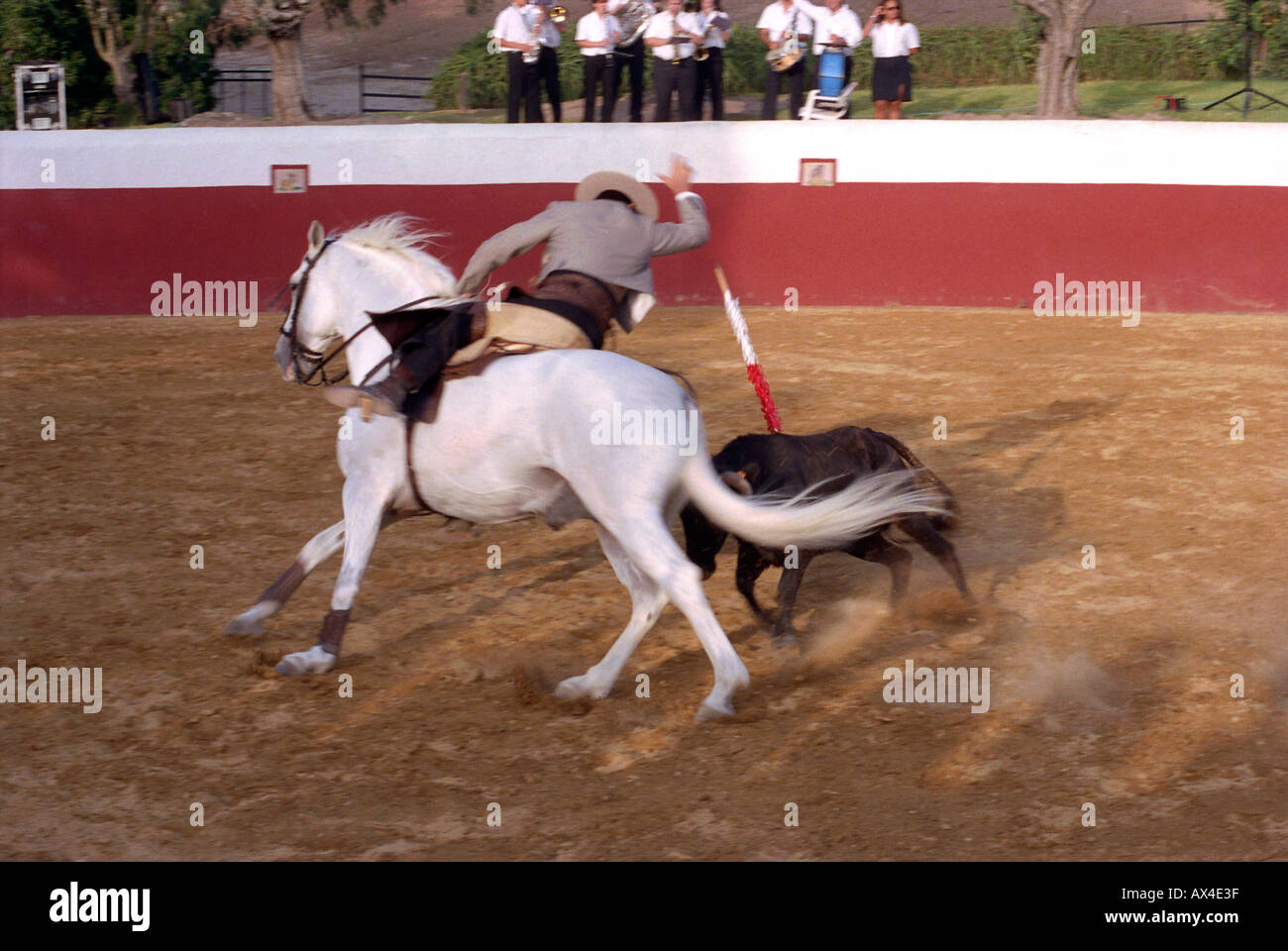 Bull fighter pratiquer Banque D'Images