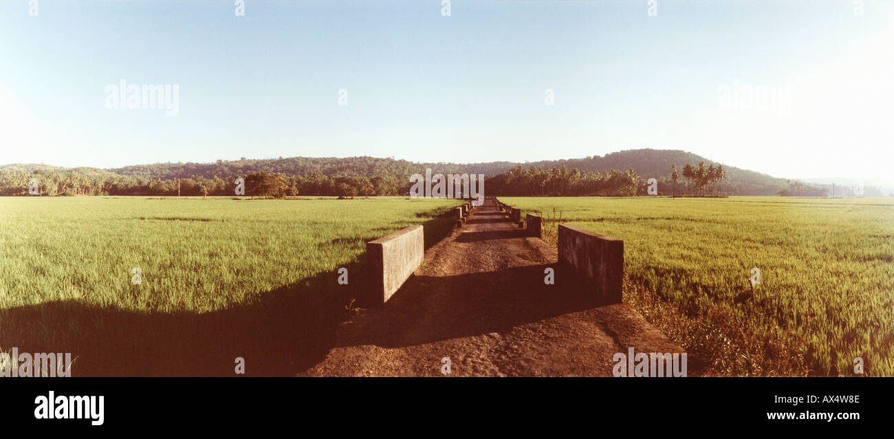 Chemin de terre Goa Inde Banque D'Images