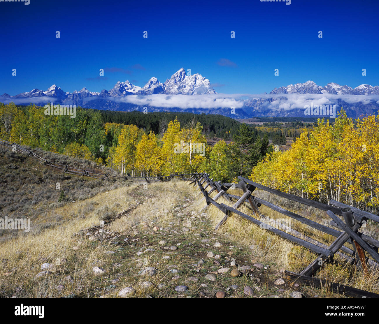 Chaîne Teton et ligne de clôture de couleur à l'automne Le Grand Teton NP Wyoming Septembre 2005 Banque D'Images