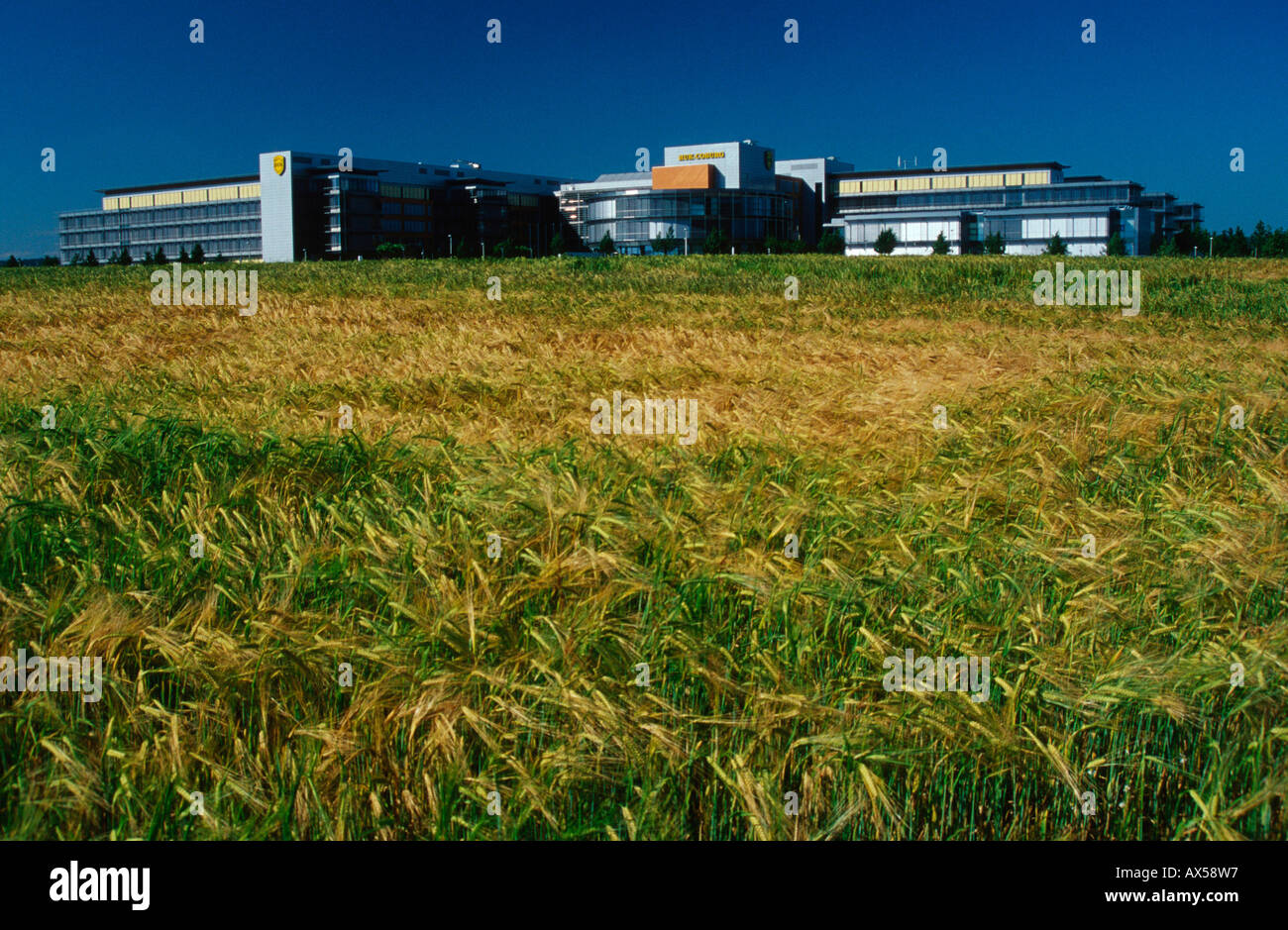 Bâtiment administratif / Guanaco Banque D'Images