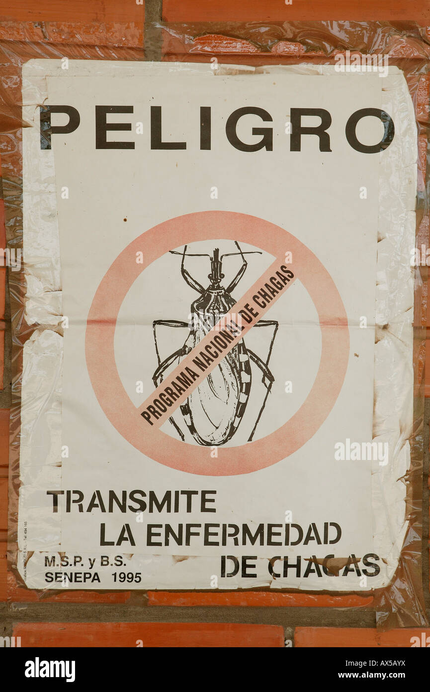 Panneau d'avertissement avertissement d'Trypanosama cruzi, agent pathogène de la maladie de Chagas, de la famille des hémiptères prédateurs, Jothoisha, Chaco Banque D'Images