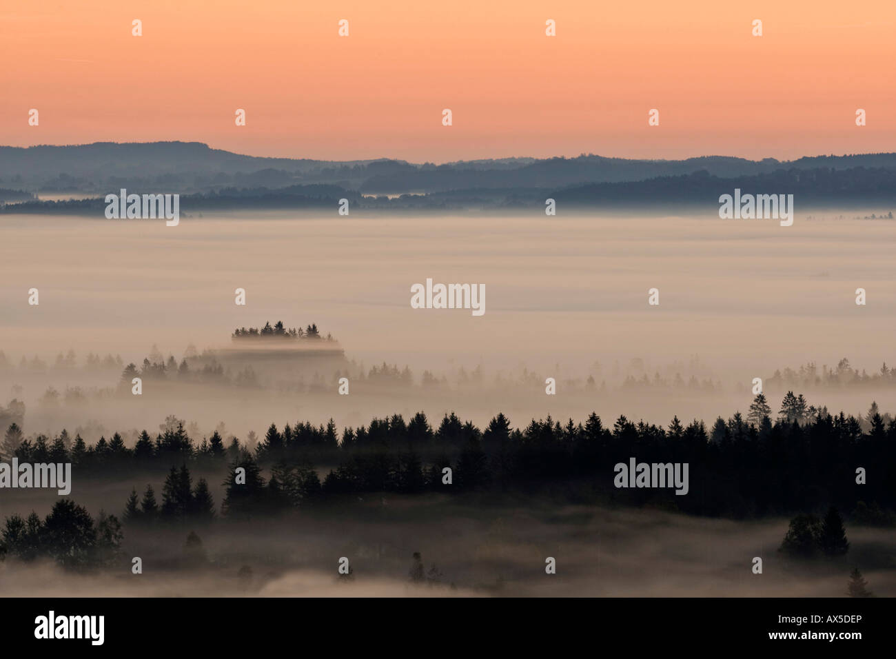 Enshrouded paysages dans la brume, pré-Alpes bavaroises, Upper Bavaria, Bavaria, Germany, Europe Banque D'Images