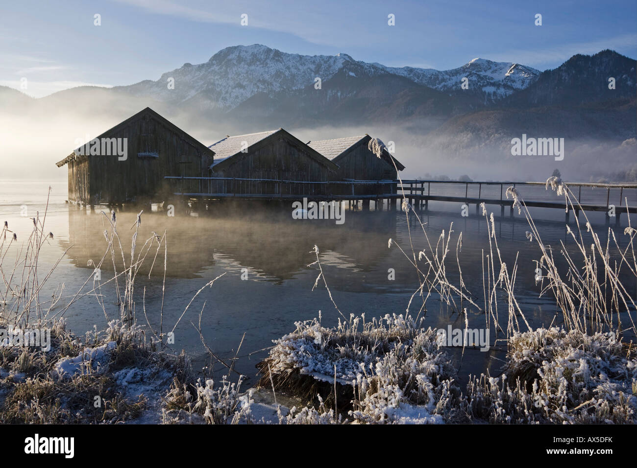 Les hangars à bateaux, gel-couverts de roseaux sur la rive du lac Kochelsee (Kochel) enshrouded dans la brume, pré-Alpes bavaroises, Upper Bavari Banque D'Images