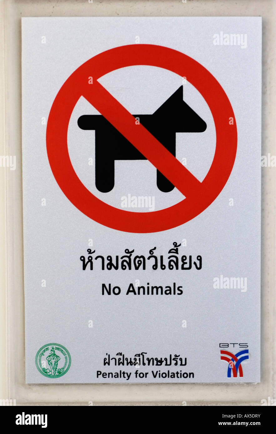 Animaux admis - Pas de signe - Thaïlande Banque D'Images