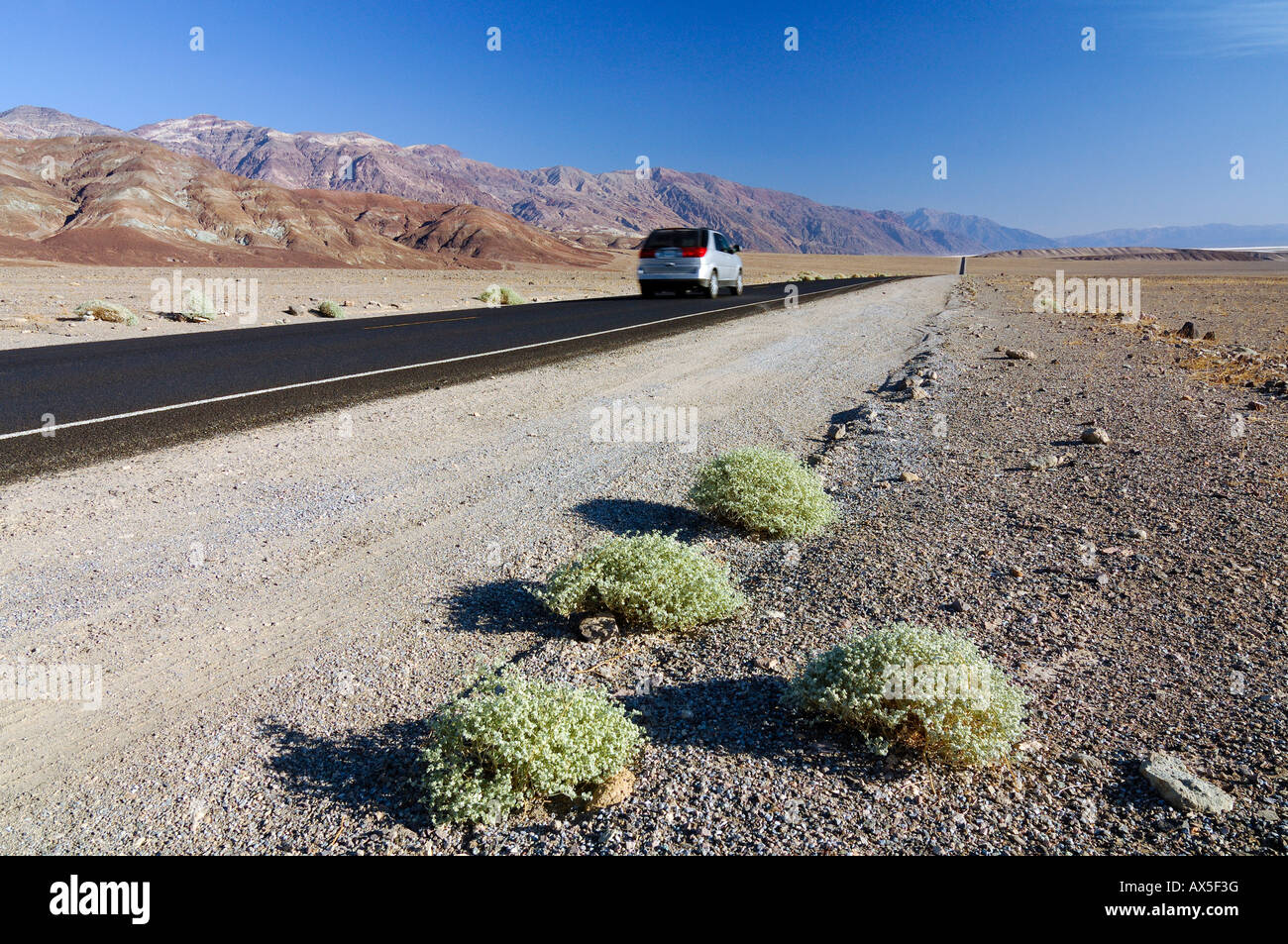 Location de voiture sur l'autoroute 178 dans la vallée de la mort, Death Valley National Park, California, USA, Amérique du Nord Banque D'Images