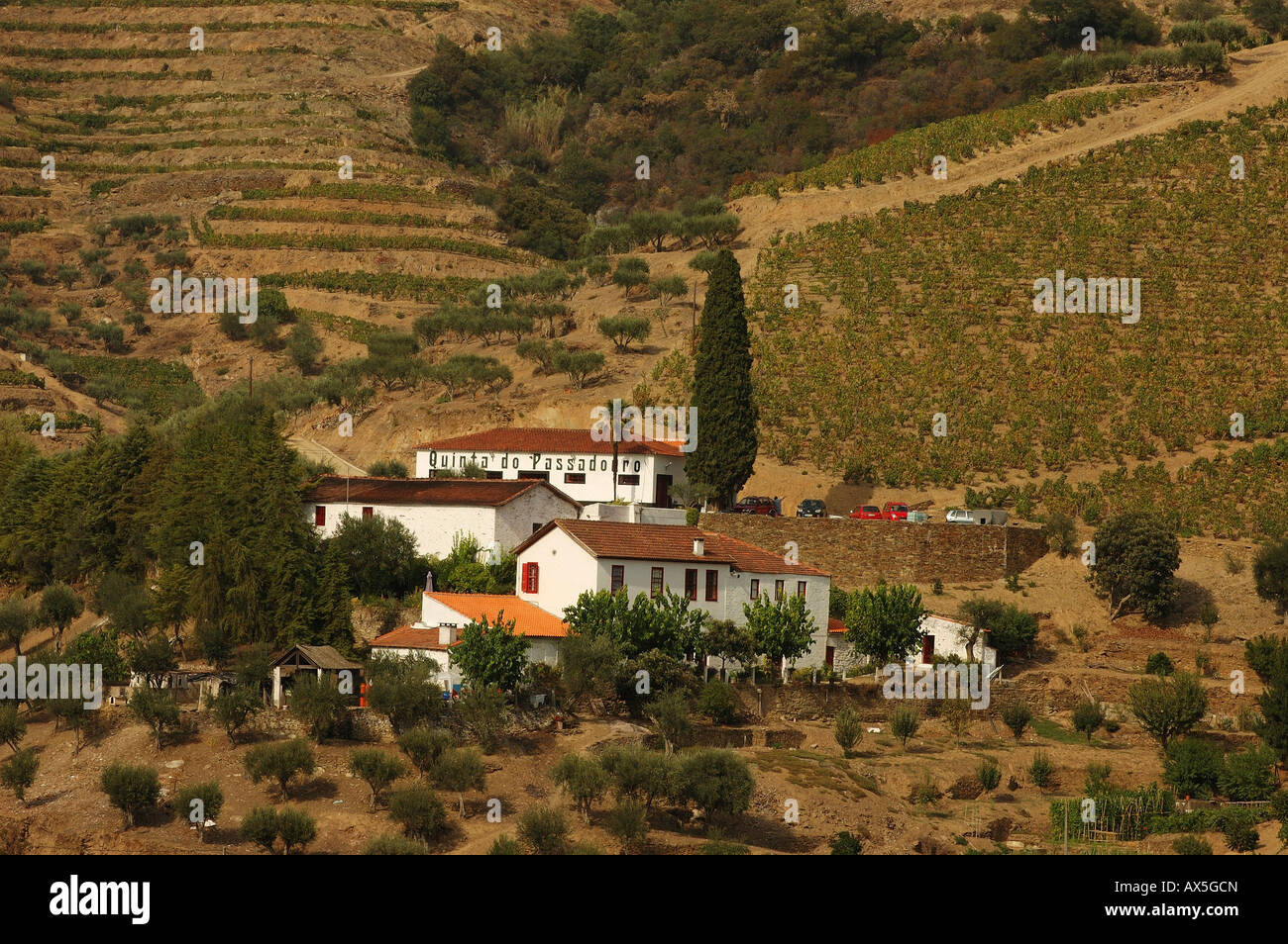 La viticulture dans le Vale Mendiz, la production de vin rouge et un port dans la Quinta do Passadouro, Pinhao, région du Douro, au nord Portug Banque D'Images