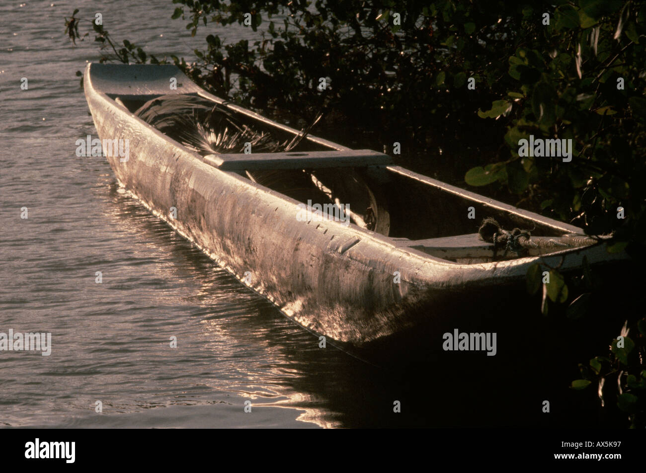 Bahia, Brésil. Une pirogue amarrée à mangroves dans un canal côtière au coucher du soleil. Banque D'Images