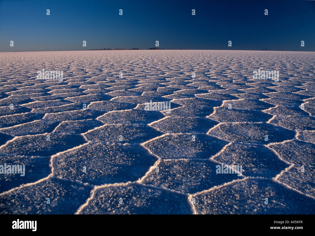 Les formes hexagonales, Salar de Uyuni salt flat, Altiplano, Ptosí Ministère, Bolivie, Amérique du Sud Banque D'Images