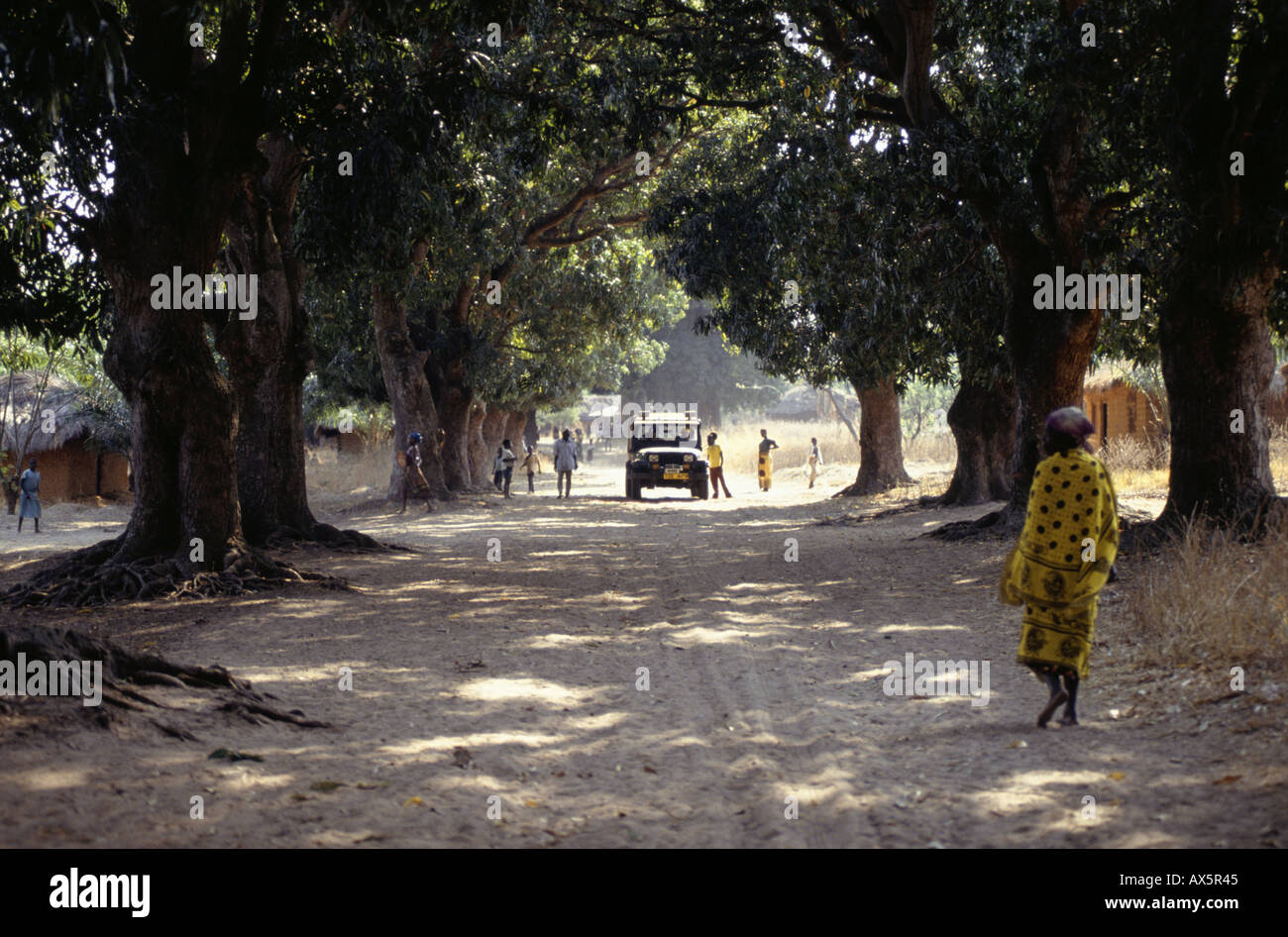 Ujiji, Tanzanie. Quatre roues motrices touristiques Safari Jeep sur une route de terre en dessous de manguiers sur la route de l'esclave. Banque D'Images