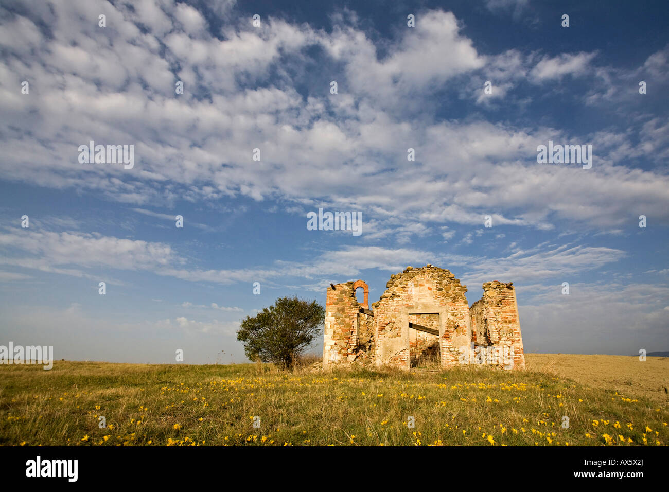 Ruines de la ferme, Toscane, Italie, Europe Banque D'Images