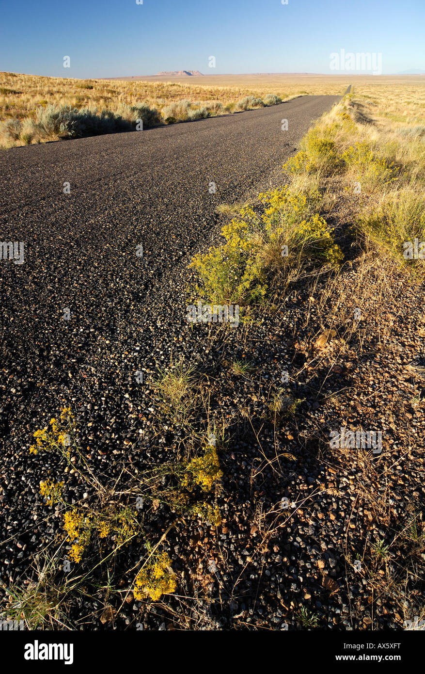 Route de campagne à côté de l'Interstate 70 (I-70) près de Hanksville, Utah, USA Banque D'Images